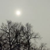 солнце туман